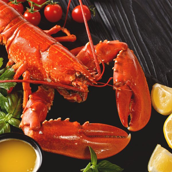 Fully Cooked Snow Crab Meat