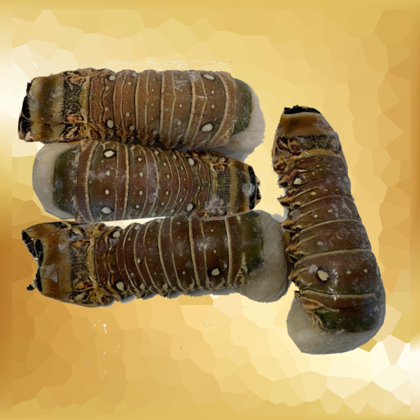 LOBSTER TAIL